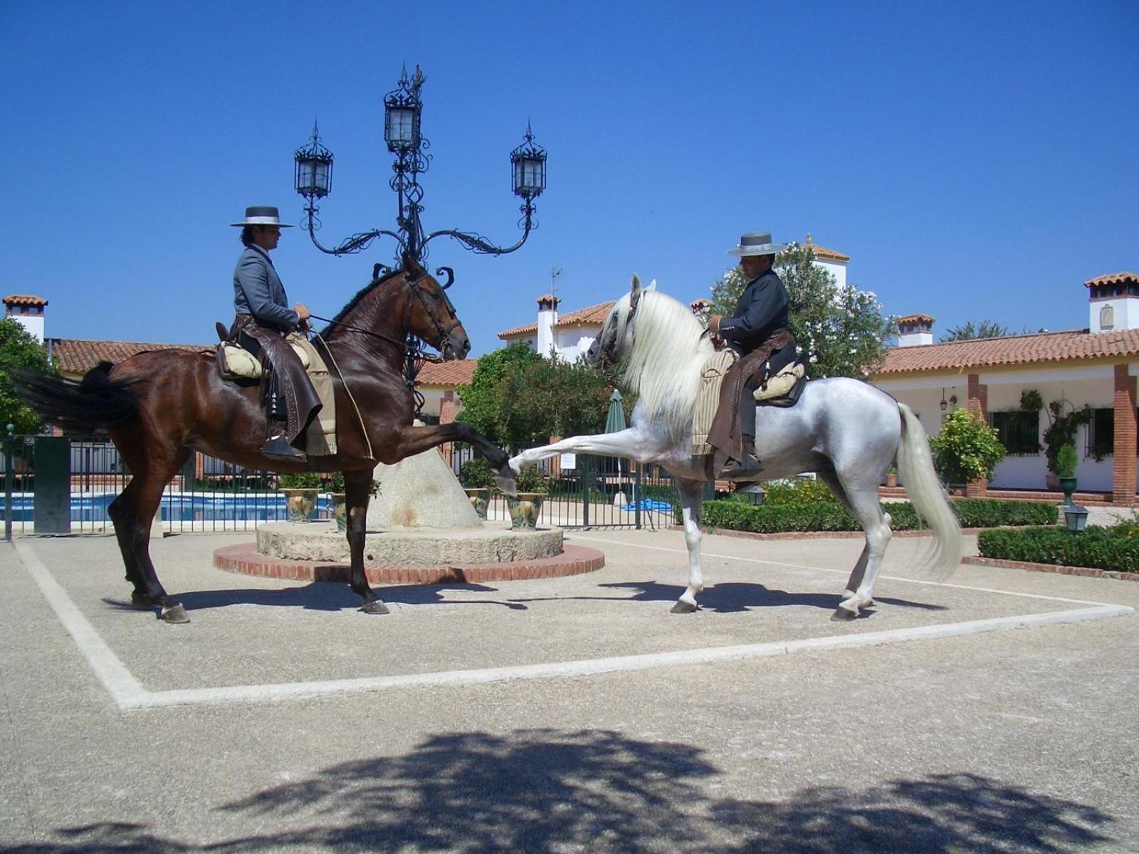 Cortijo De Frias Apartment Cabra Bagian luar foto