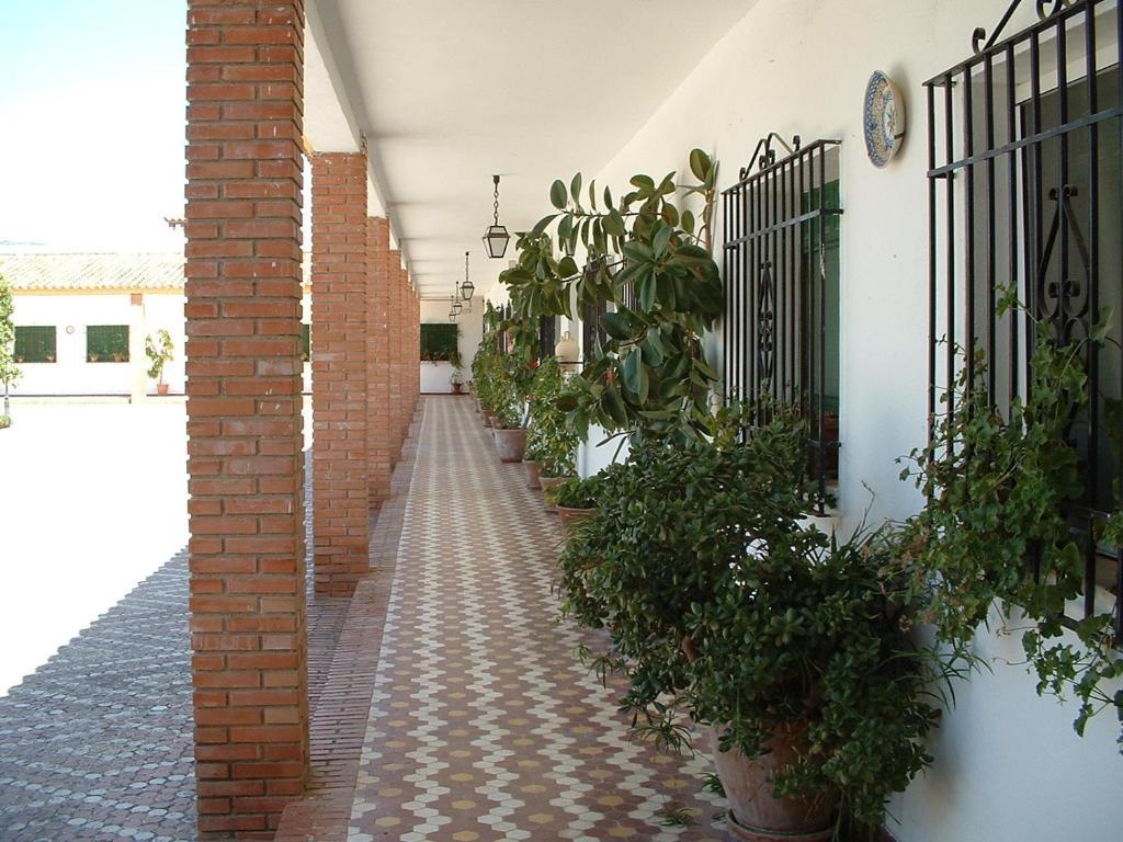 Cortijo De Frias Apartment Cabra Ruang foto